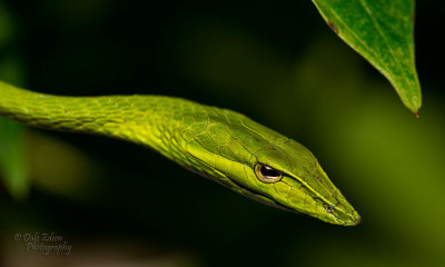 053013-092-web.jpg
