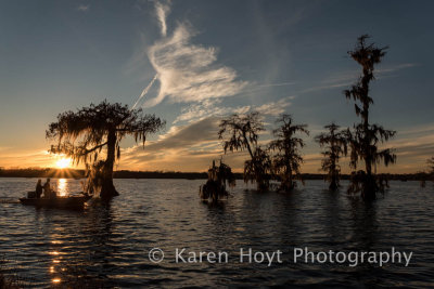 Louisiana Landscapes