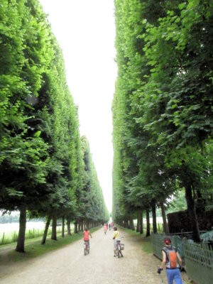 Versailles: We pedaled down this beautiful path on the palace grounds.