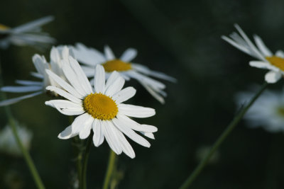g9/29/808029/3/151652117.bptDKfds.jpg