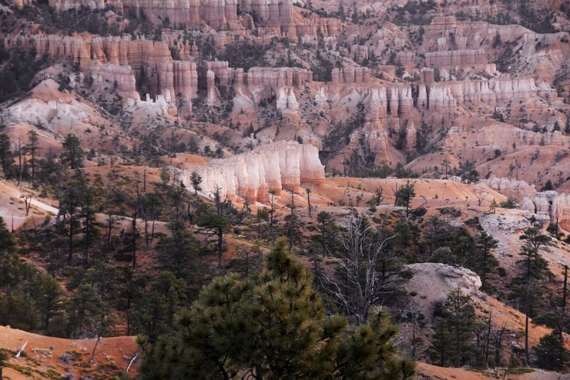 Path Through the Hoodoos