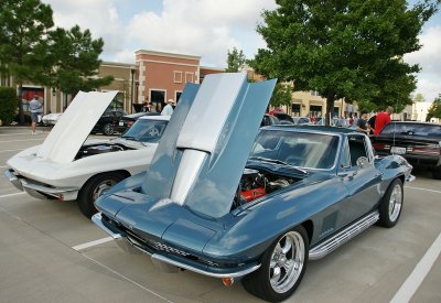 Vettes