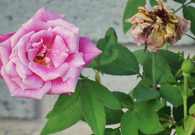 g9/29/809929/3/151706071.AXAMW1yw.jpg