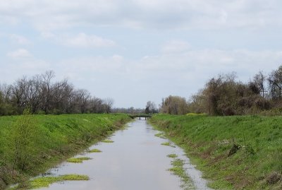 Going For Water