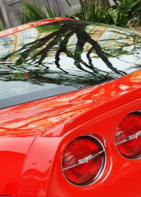 Corvette Show in the Square