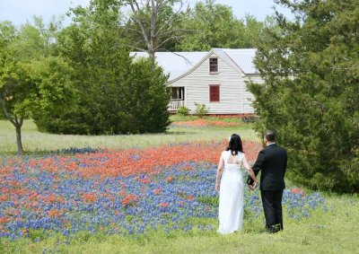 Wildflower Wedding