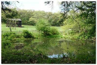 Farm Pond