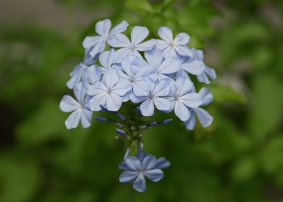Symmetry #3