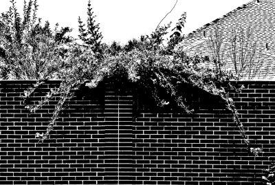 Symmetry #16