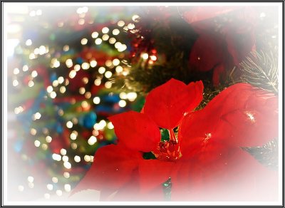Colorful December