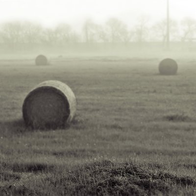 Hay Bales