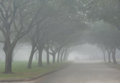 Foggy Street