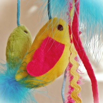 Cat Toys