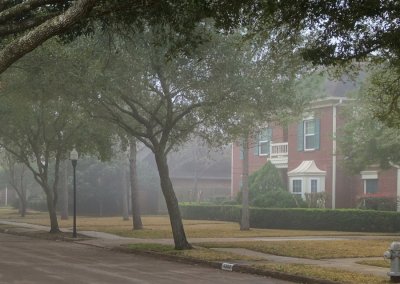 ATouch of Fog