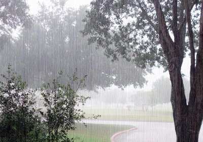 Rainy