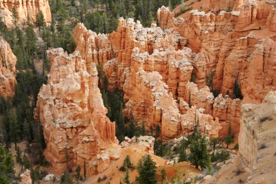 Bryce Hoodoos