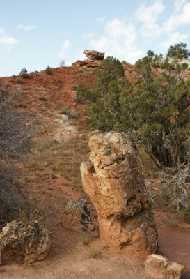 Petrified Tree