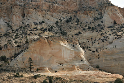 Johnson Canyon Road