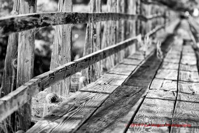Wood Bridge in Black and white.jpg
