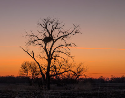 Eagle Nest at Sunrise.jpg