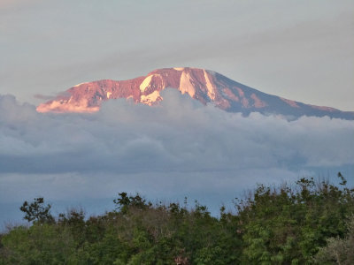 Kilimanjaro