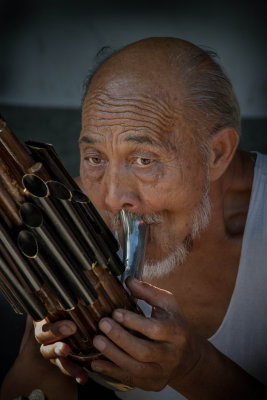 Market Musician