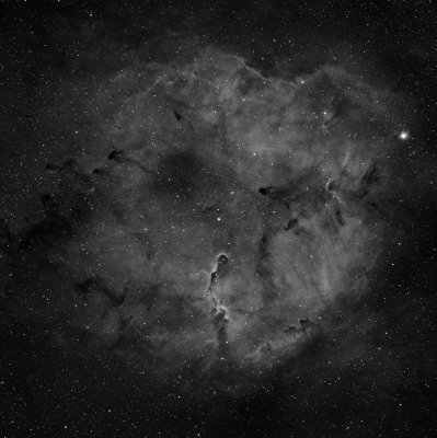 IC1396 - Elephant's Trunk Nebula in Ha