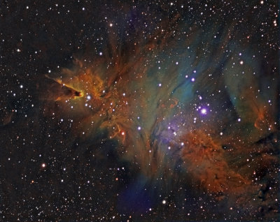 Cone and Fox fur nebulae and Christmas tree cluster in HST palette