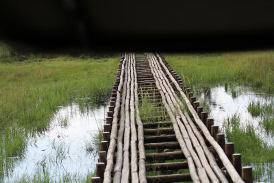 bridge.jpg