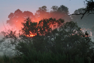 sunrise.jpg