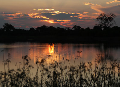 sunset.jpg