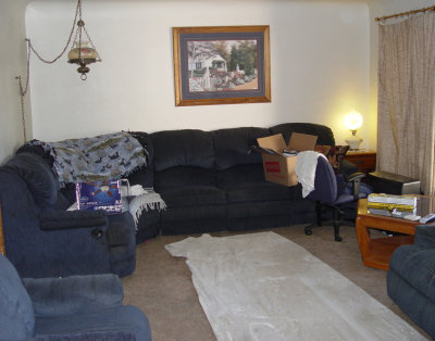 living room before sample  copy.jpg