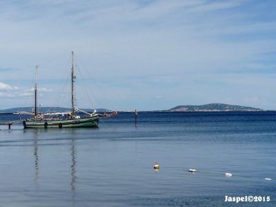 L'tang de Thau  et Ste (France)