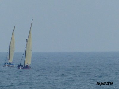 P1440934bbb.jpg