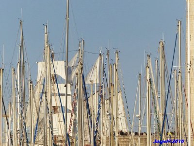 P1460045 1024x768.JPG