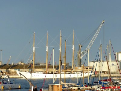 P1460043 1024x768.JPG