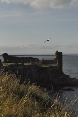 St. Andrews Castle 