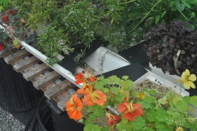 Achiltibuie Hydroponic Gardens