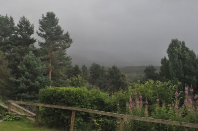 Rainy Cairngorms