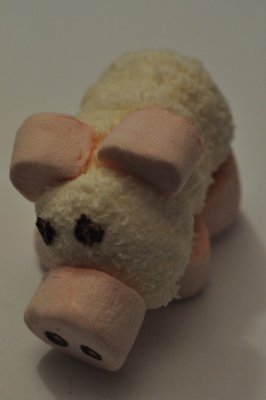 Marshmallow Piggy  ( deceased)