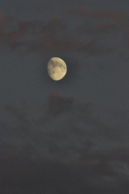 Moon over Lochranza