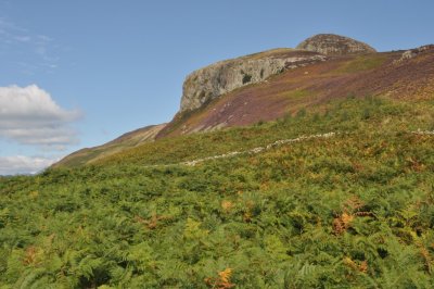 Holy Isle