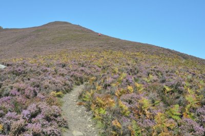 Towards the mountain ridge