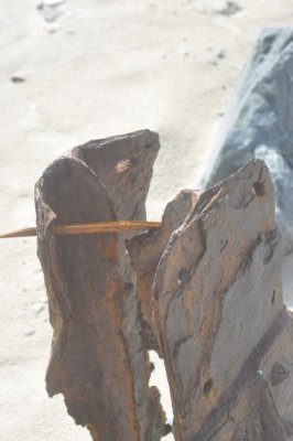 Rust