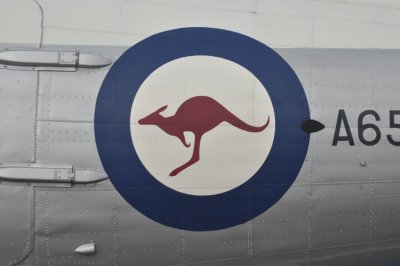 Kangaroondel