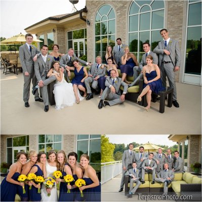 Wedding Pictures by Terpstra Photography in 2014