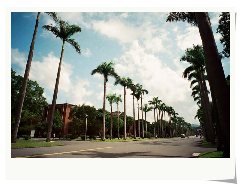 National Taiwan University 