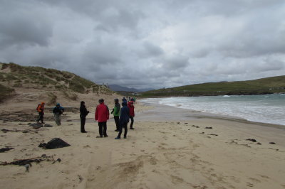 walking the beach to see Puffins