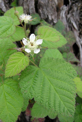 g9/30/1143730/3/153521101.bToA7eNe.jpg