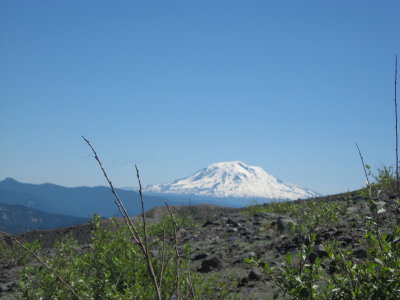 Mt. Hood.JPG